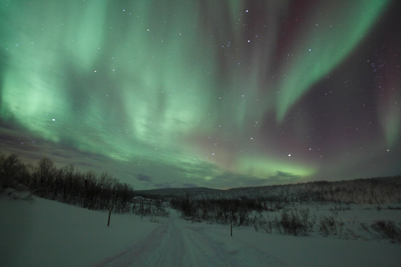 Nordlys over veien og vidda